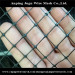 high quality plastic square mesh