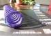 SWOSC-V hight deflecation Spring purple mold spring for lamps and lanterns