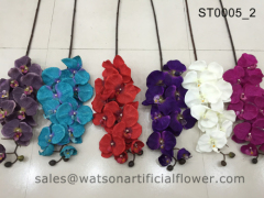 orchid flower price from Tianjin Waston Gifts Co Ltd