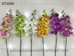 flowers of orchids from Tianjin Watson Gifts Co Ltd