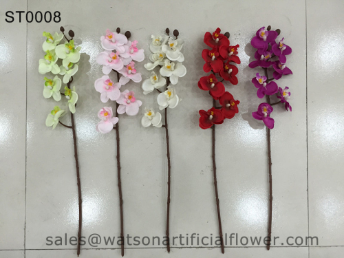 orchid the flower from Tianjin Watson Gifts Co Ltd