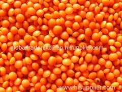 High Quality Beans Legumes & Lentils