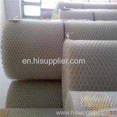 Manufacturer Plastic Flat Net/plastic mesh/Hard plastic net