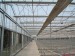 Thermal energy screen for greenhouse reduce hearting cost use