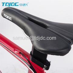 TDJDC R100 Aluminium Alloy Frame With SHIMANO Inner Hub 3-Speed Shaft Drive Chainless Bike For City Leisure Sports 700C