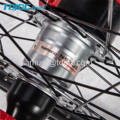 TDJDC R100 Aluminium Alloy Frame With SHIMANO Inner Hub 3-Speed Shaft Drive Chainless Bike For City Leisure Sports 700C