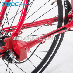 TDJDC R100 Aluminium Alloy Frame With SHIMANO Inner Hub 3-Speed Shaft Drive Chainless Bike For City Leisure Sports 700C