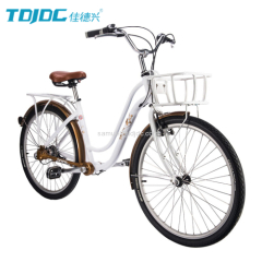 Inner 3-Speed TDJDC 26*17'' Hi-ten Fork 6061 Aluminium Alloy Chainless Shaft Drive Cruiser Bicycle