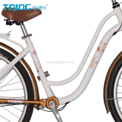 Chainless Bike TDJDC 26*17'' Hi-ten Fork 6061 Aluminium Alloy Seamless Frame With SHIMANO Inner 3-Speed Hub