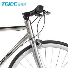 Subvertion Style TDJDC #304 Stainless Steel 700C Chainless Shaft Drive Road Bicycle With SHIMANO Inner 3-Speed