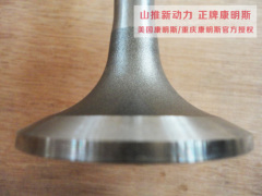 207241 intake valve genuine cummins