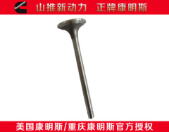 207241 intake valve genuine cummins