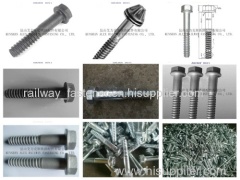 Special Fastener J L Anchor Bolt with HDG Surface