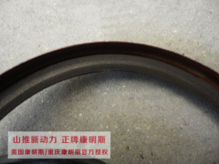 3970548 oil seal genuine cummins