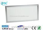 Cool / Warm White White LED Panel 600 X 1200 mm With LiFud LED Driver