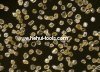 Synthetic Diamond Powder Price