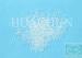 Packaging Hot Melt Adhesive for sealing of paper box clear round pettles glue