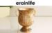 Gold Hand Jewish Washing Cup With Two Handles Polyresin Material