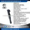 Car Ignition Coil AURADIA 21724 BERU 0040100048 DACIA 8200765882 DELPHI CE2001412B1 DENSO 297008291