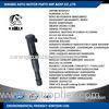 Car Ignition Coil AURADIA 21724 BERU 0040100048 DACIA 8200765882 DELPHI CE2001412B1 DENSO 297008291
