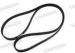 Toothed belt 2400-8M-HP-20 for Spreader parts / Spreader Machine Parts