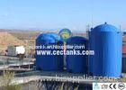 Vitreous EnamelingBolted Anaerobic Digester Tank With SS304 Ladder
