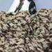 70*190cm Polyester Scarf Experienced Purchasing Agent Safe China Sourcing Services