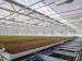 Climate Screens for Greenhouse Inner Use