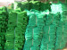 Green Scaffold Net/Construction Safety Net