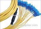 12 Core 24 Core SC-SC Fiber Patch Cord for Communication Network And CATV