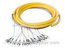 OM3 FC OpticalFiberPigtail Cables 12 Core 24 Core for CommunicationNetwork