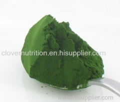 Chlorella Algae Powder ISO Factory