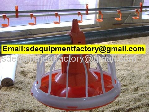 SD pullet feeder pan