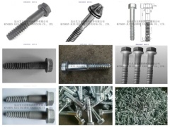 Customized all kinds of anchor bolt