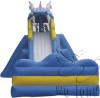 giant &commercial inflatable swimming pool slide