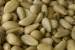 Pine nut kernel nut and seed kernel