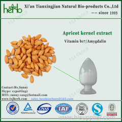 VITAMIN B17 LAETRILE AMYGDALIN FROM APRICOT KERNEL EXTRACT