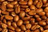 Arabica Coffee With Best Price