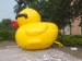 Giant promotion yellow inflatable duck for display