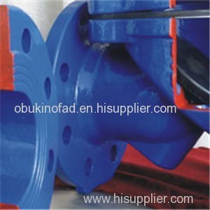 Swing Flex Check Valve