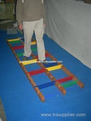 Foot Placement Ladder Occupational Therapy