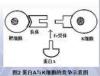 Alkaline stable protein A / Recombinant Protein A colloidal gold and radioactive markers