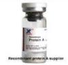 Lyophilized powder No antibody contaminant protein A column purified protein A