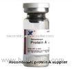 Lyophilized powder No antibody contaminant protein A column purified protein A