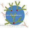 Recombinant protein A E.coli / not antibody column purified protein A