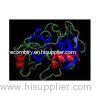 Recombinant Enterokinase E.coli For removing unwanted protein tags