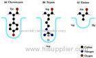 Recombinant enzyme / human chymotrypsin for Digest protein / CAS 9004-07-3