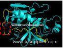 Peptide fingerprinting analysis animal origin free chymotrypsin RCT