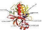 Animal origin free chymotrypsin for Analysis of peptide spectra