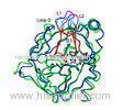 Lyophilized powder Chymotrypsin Enzyme / recombinant human chymotrypsin for mass spectrometry